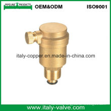 ODM Type Brass Air Vent Valve (IC-3041)